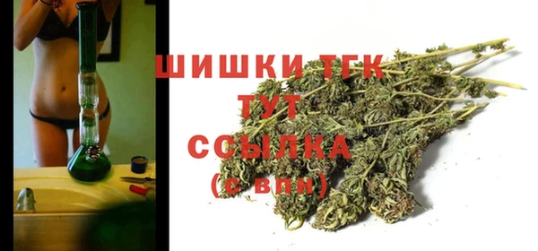 дмт Костерёво