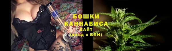 дмт Костерёво